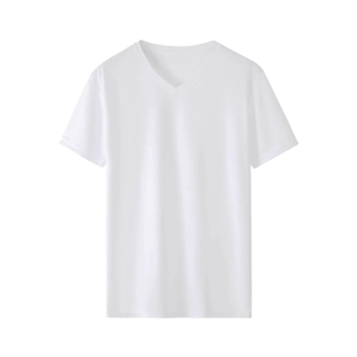 Unisex V-Neck Short Sleeve T-Shirt