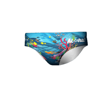 Men's Brief Test2